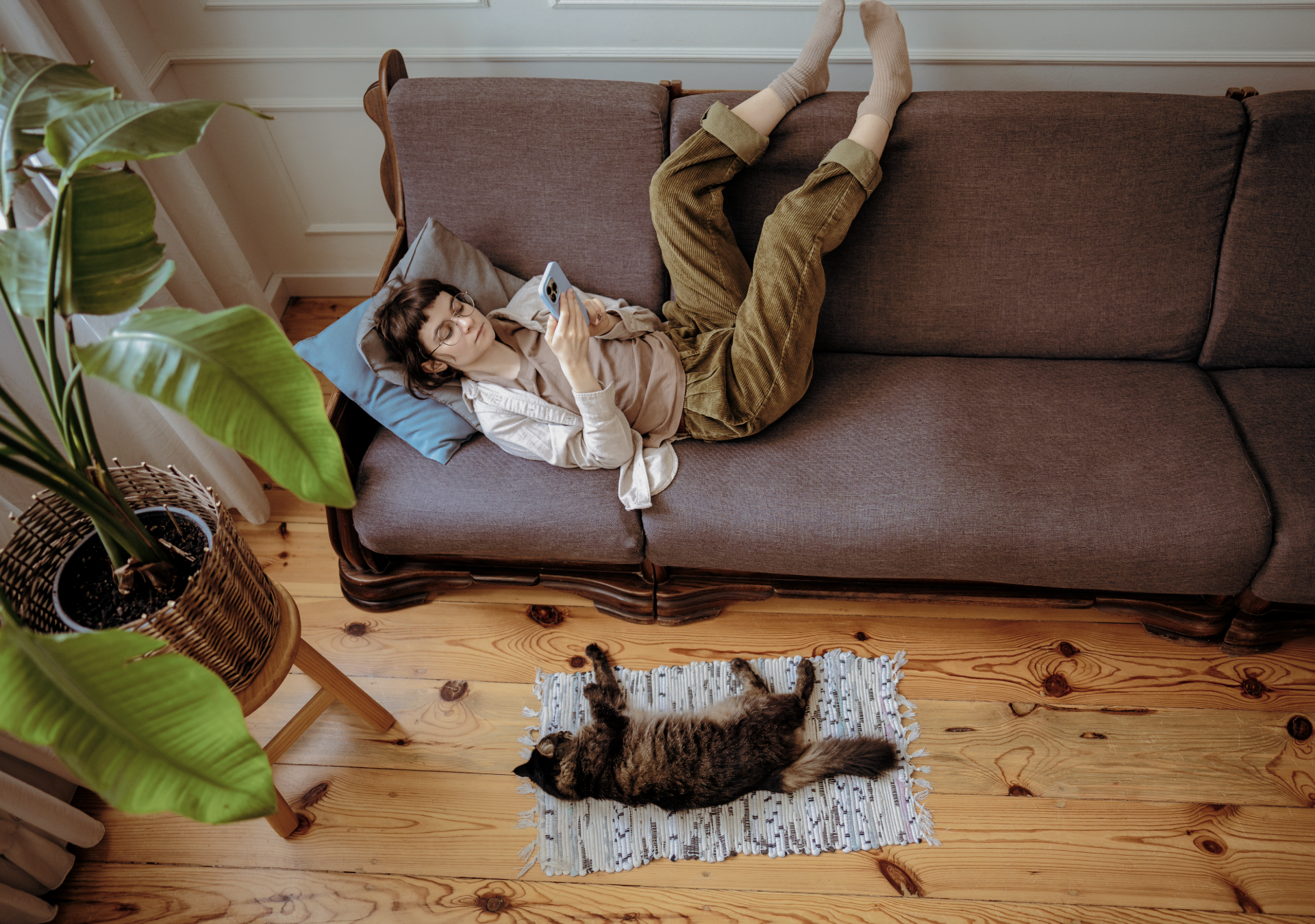 Kun kelit kylmenevät – hiiret ja muut jyrsijät etsivät tiensä sisälle